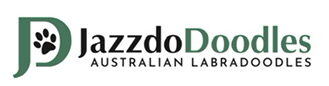 Jazzdodoodles